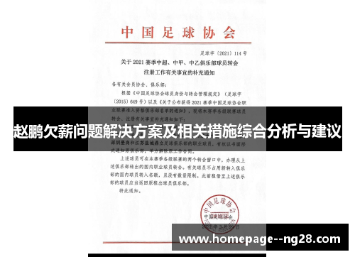 赵鹏欠薪问题解决方案及相关措施综合分析与建议